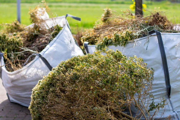 Best Electronics and E-Waste Disposal  in Rantoul, IL